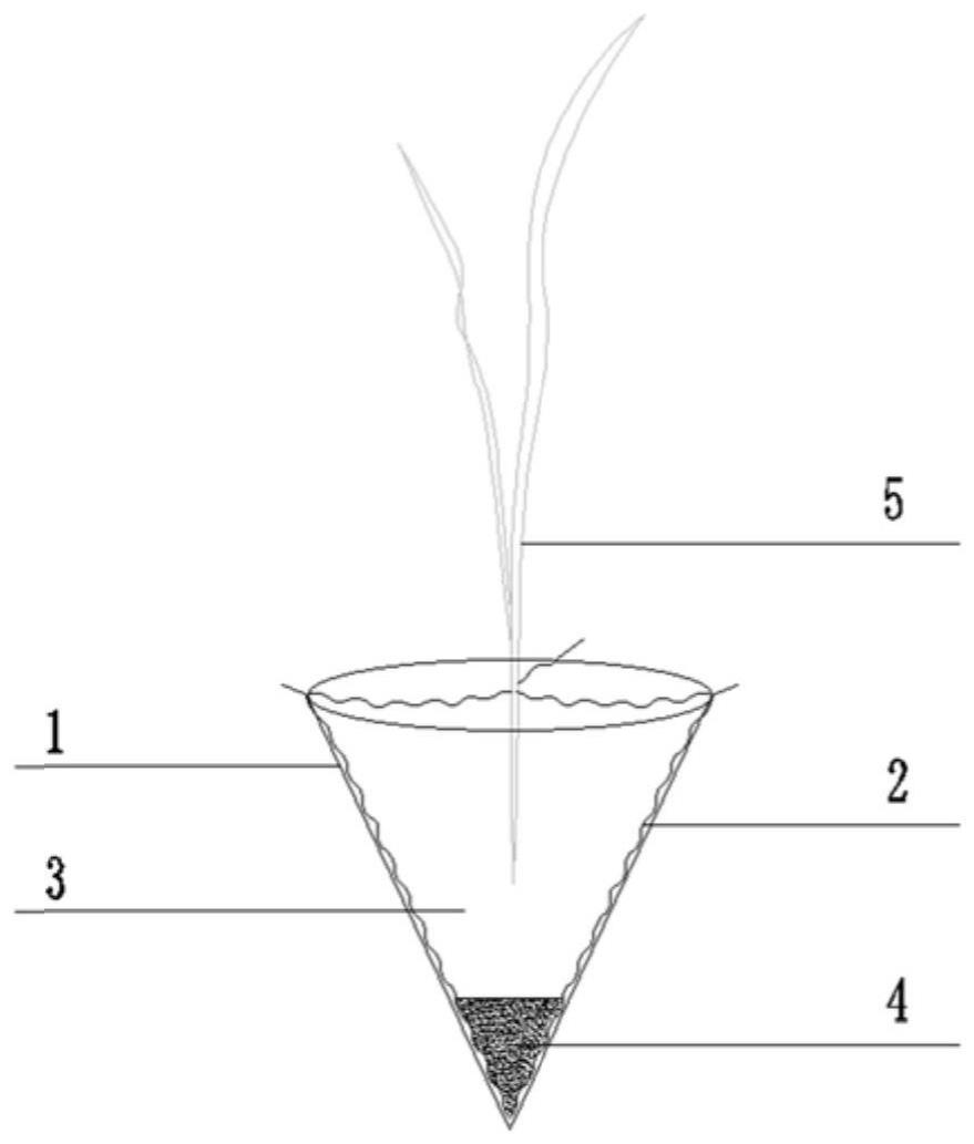 一种新型定植器的制作方法