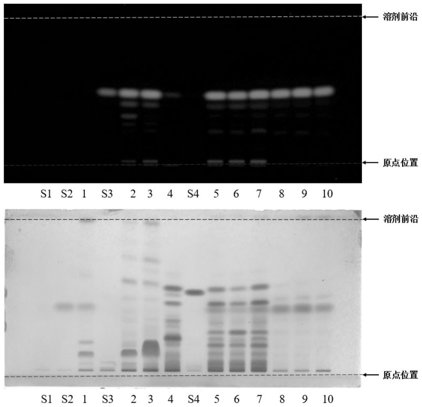 薄层色谱法点样图图片