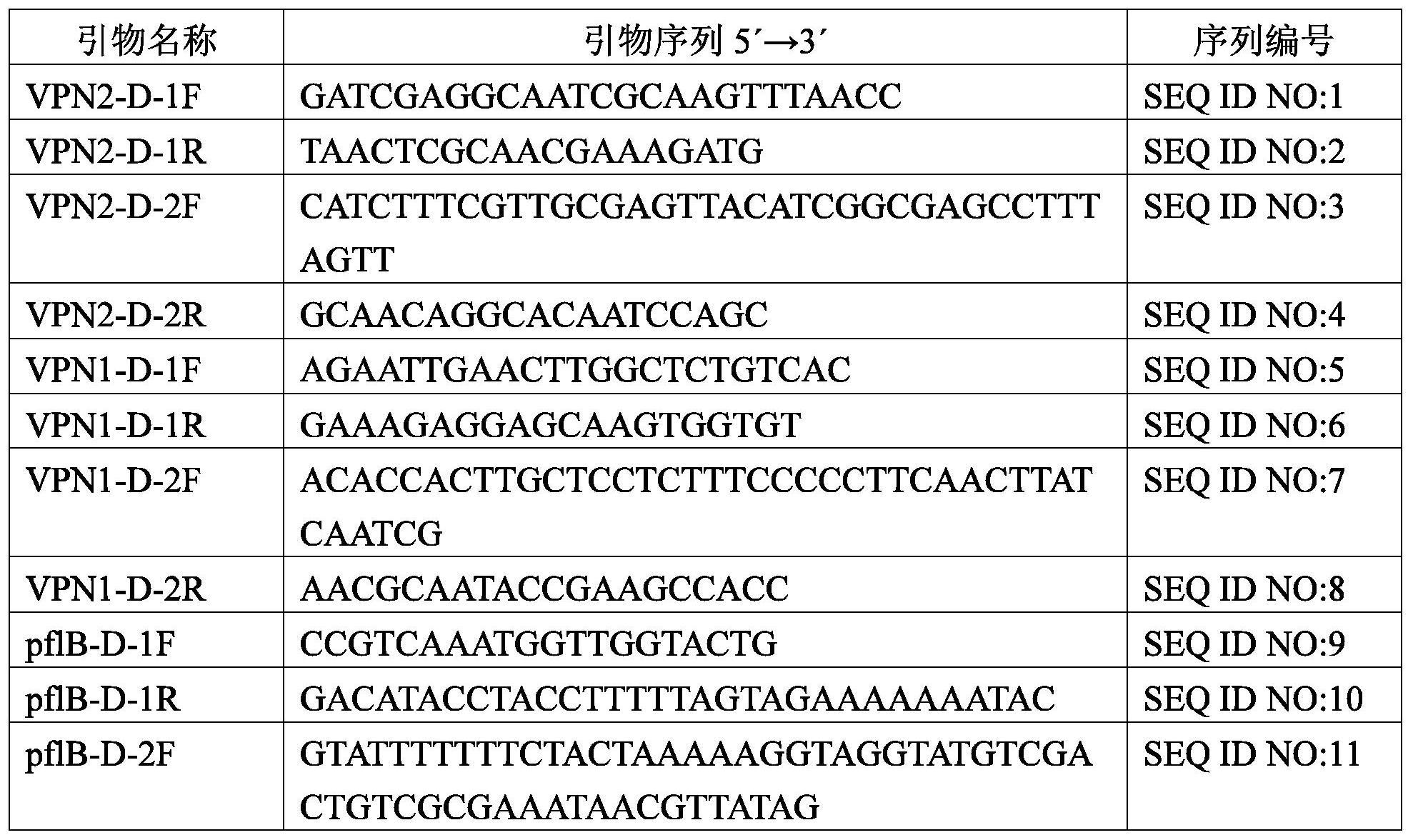 生产丙酮酸需钠弧菌重组菌株及其构建方法与应用