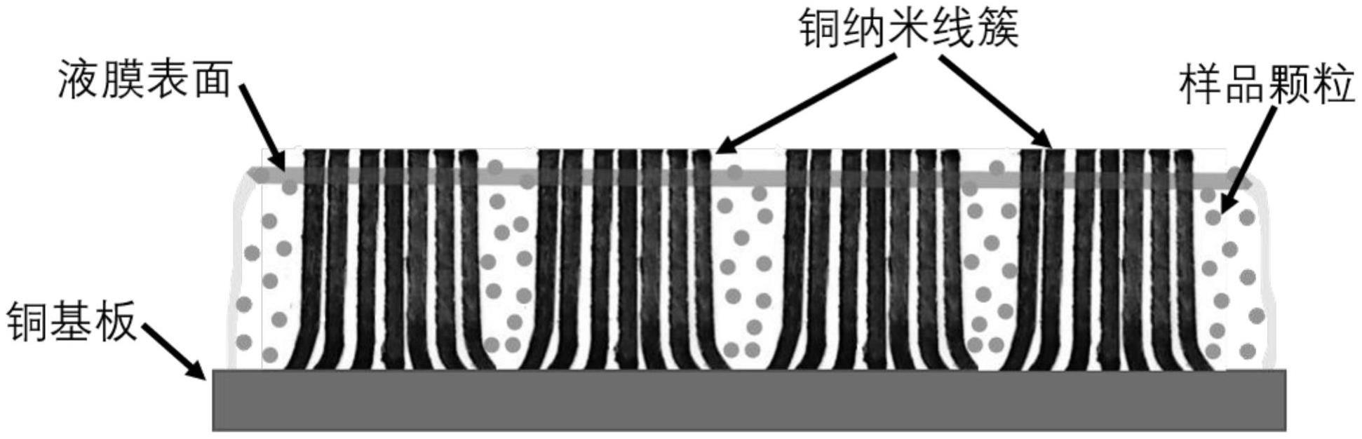 一种具有超亲水性与高导热性的扫描电镜冷冻传输样品台