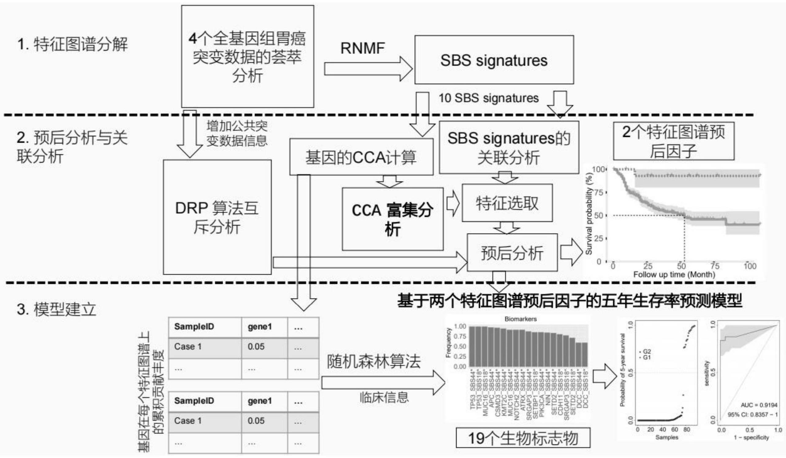 一种胃癌预后预测的标志物的制作方法