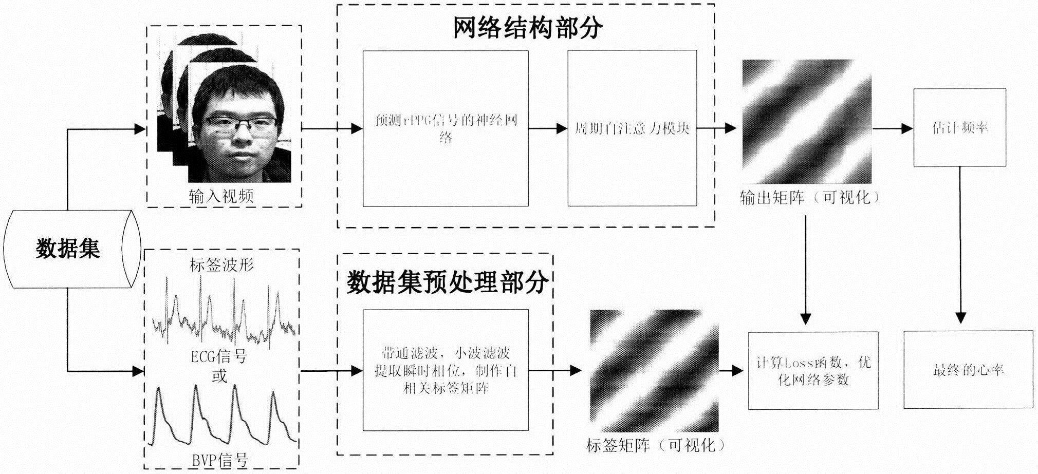 一种基于视频的远程心率测量深度学习网络