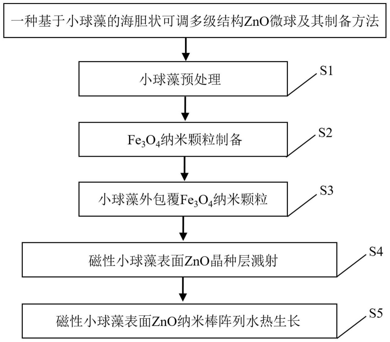 一种基于小球藻的海胆状可调多级结构