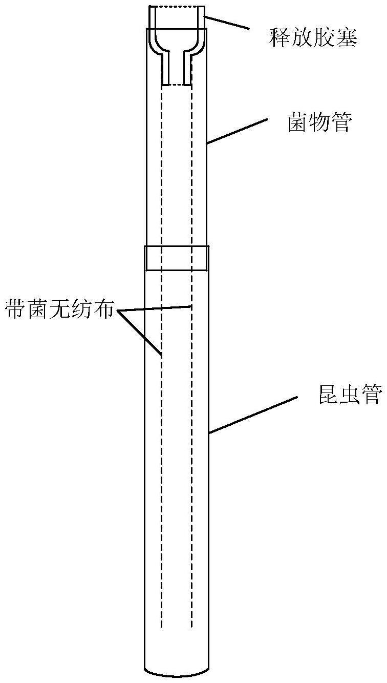 一种昆虫天敌带菌防治蛀干害虫的装置