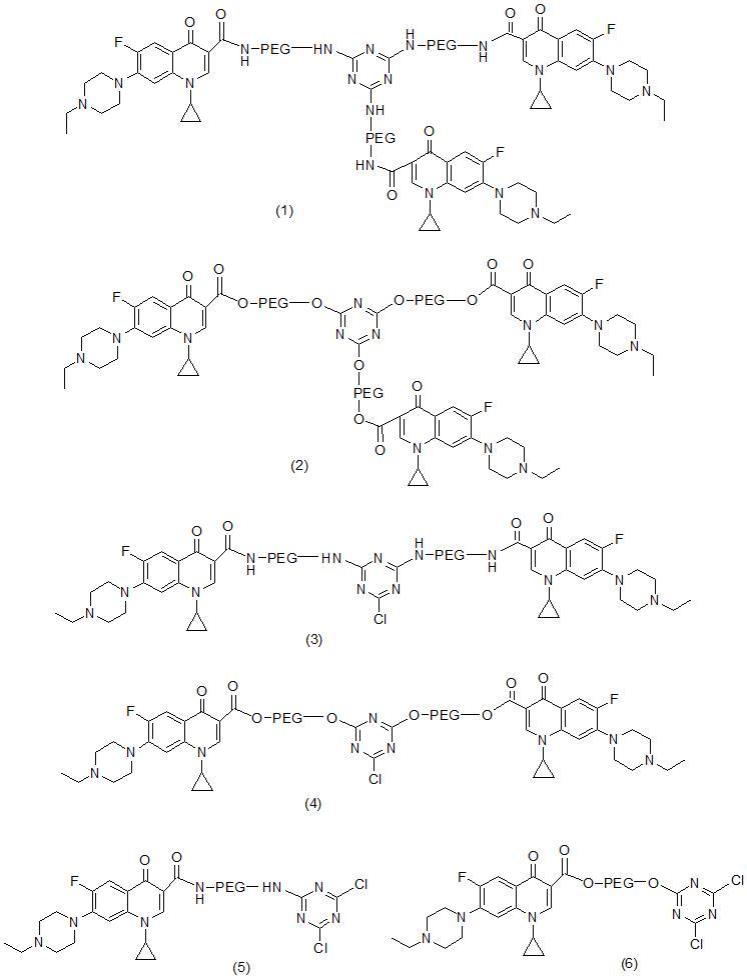 一种水溶性恩诺沙星及其制备方法