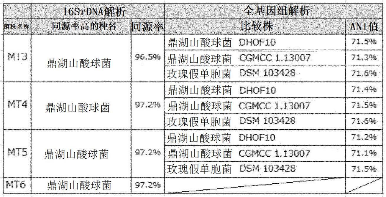 新型的抗真菌剂的制作方法