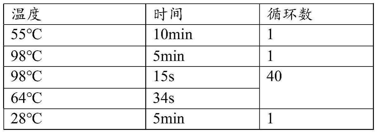 检测的制作方法