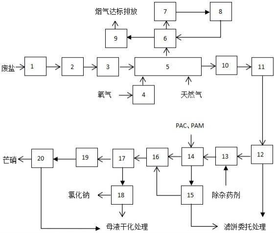 一种含有机物的废盐低温处理方法与流程