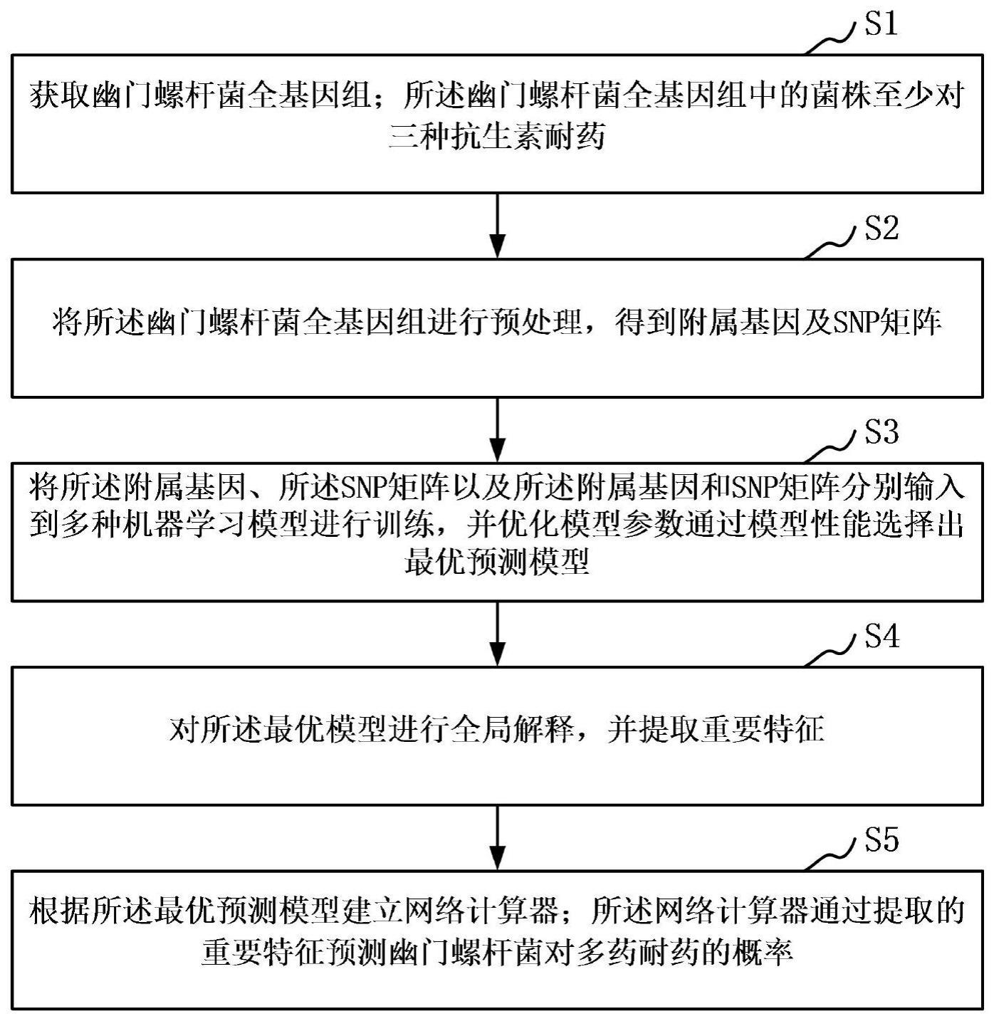 幽门螺杆菌对多药耐药表型的预测模型构建方法及装置