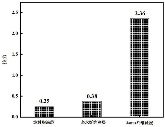 一种双面神纳米纤维复合涂层及其制备方法和应用