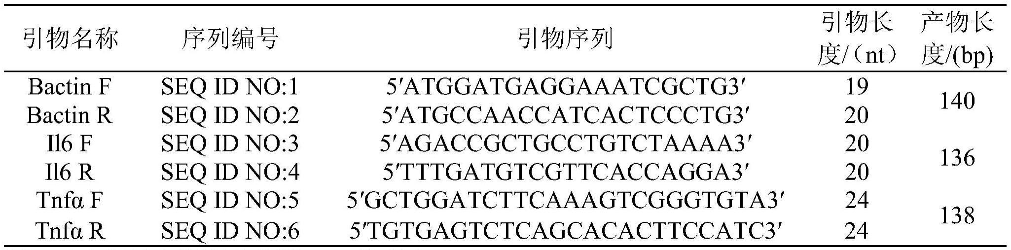 一种斑马鱼模型及其建立方法和应用