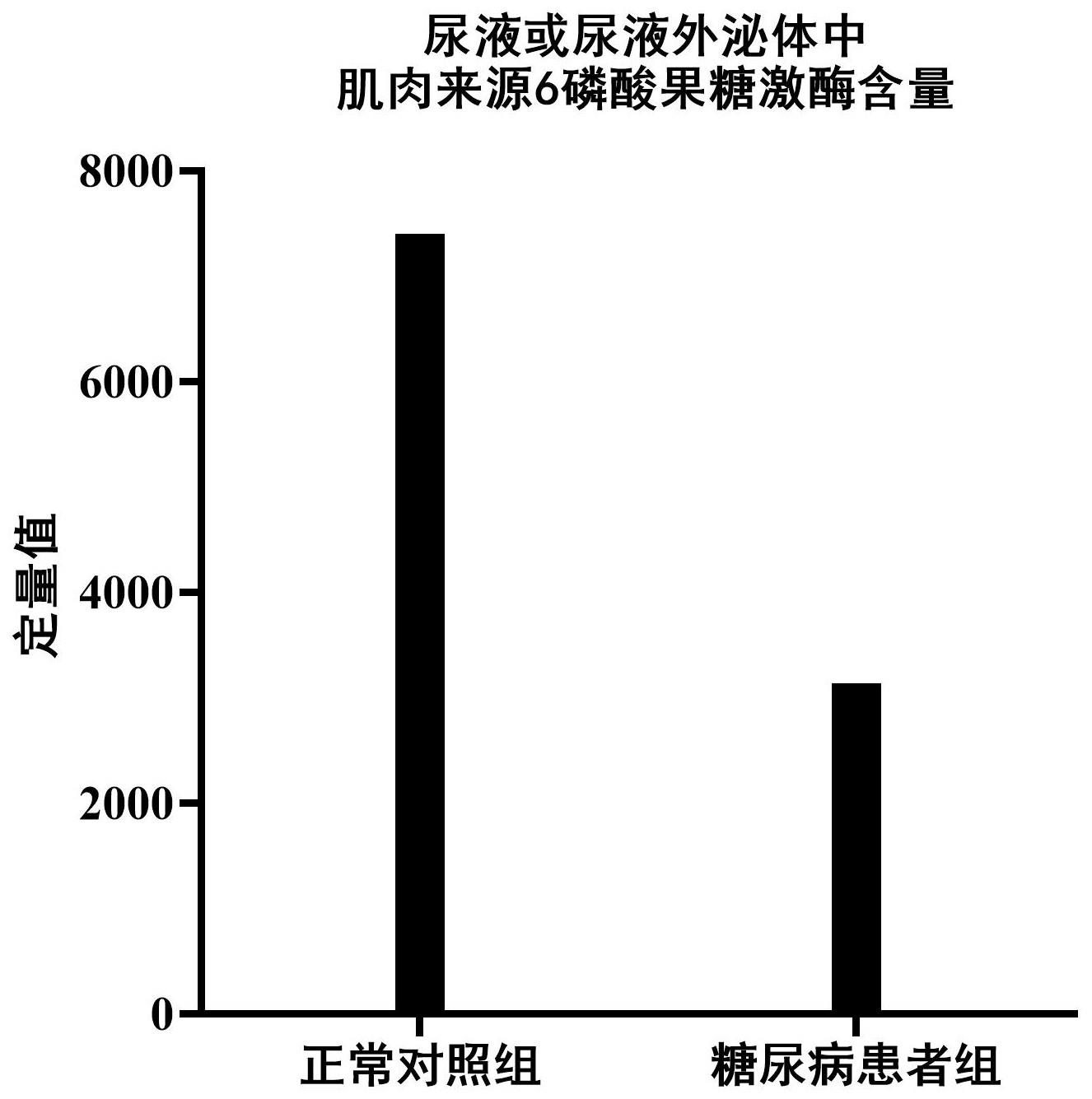 尿液或尿液外泌体中肌肉来源6磷酸果糖激酶及其多肽片段在糖尿病中的应用的制作方法