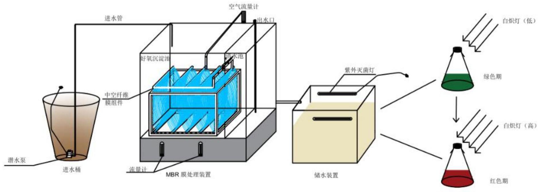 一种雨生红球藻的制作方法