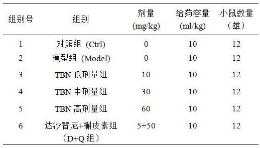 川芎嗪硝酮衍生物在制备预防或治疗肌少症药物中的应用的制作方法