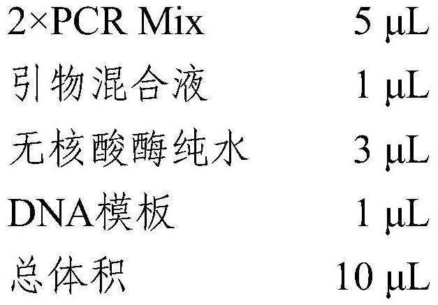 用于检测牛的制作方法