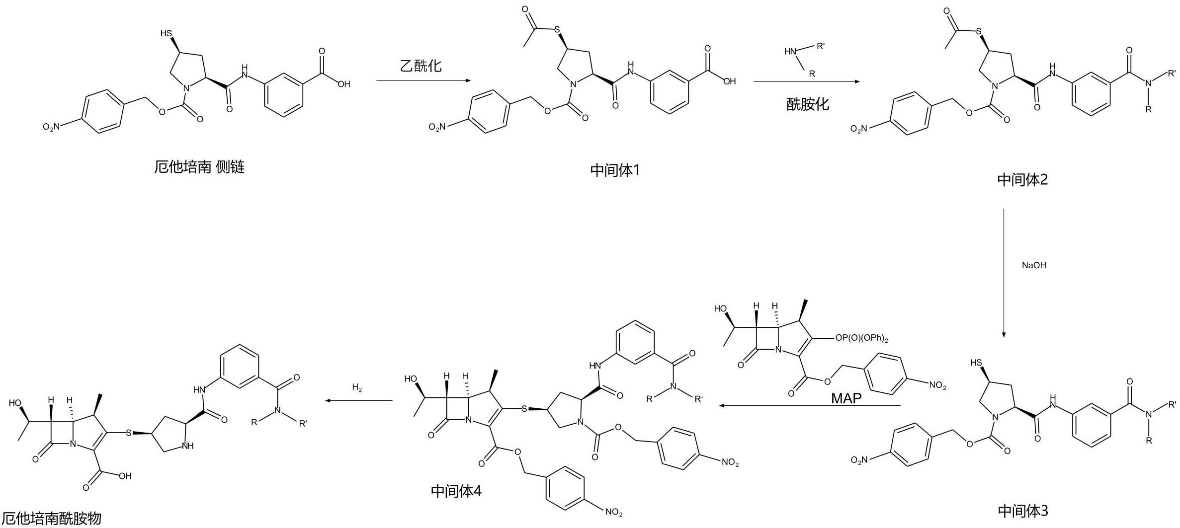 厄他培南酰胺物的制备方法及其在制剂质量研究中的应用与流程