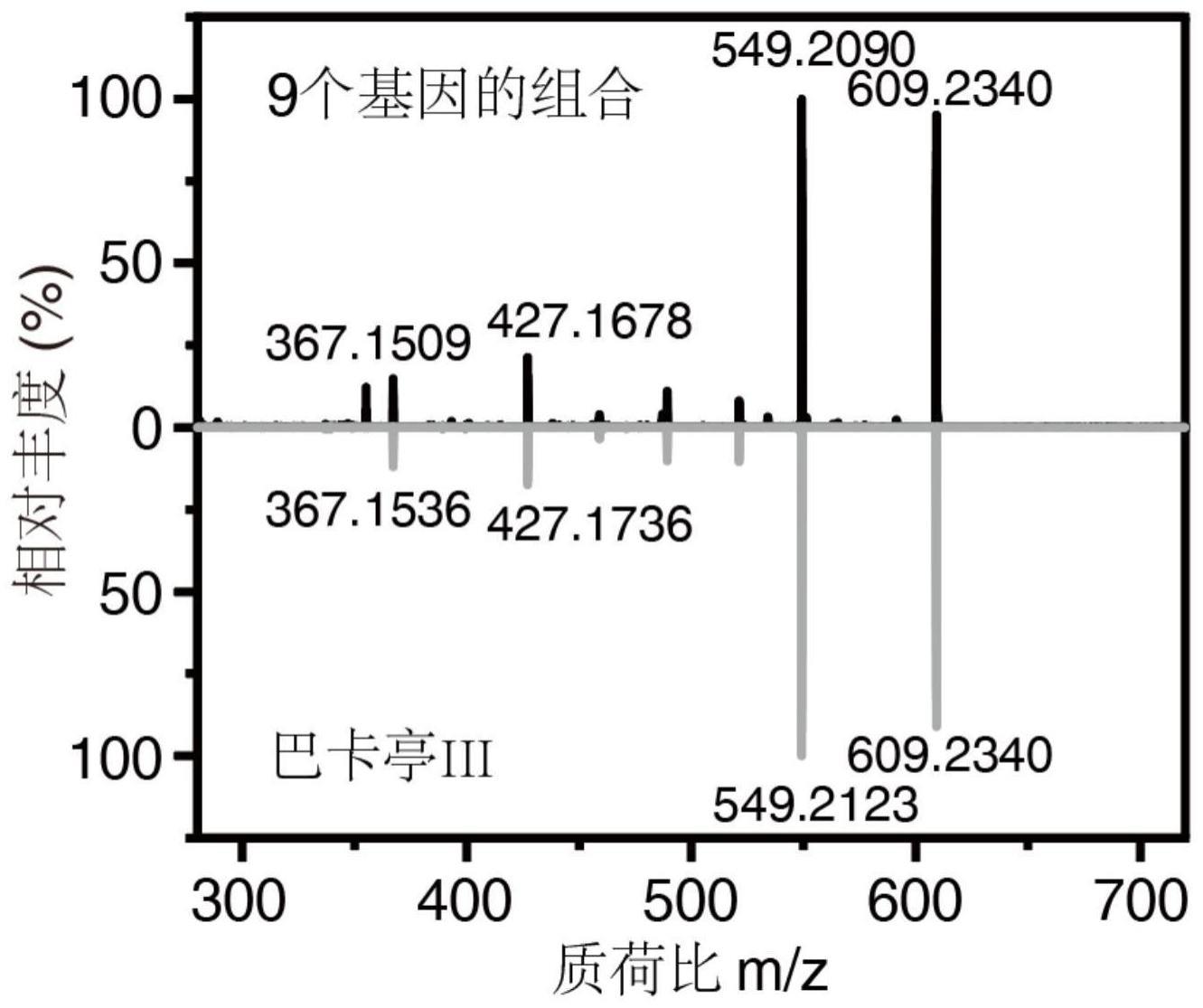 一种生物全合成紫杉醇前体物质巴卡亭