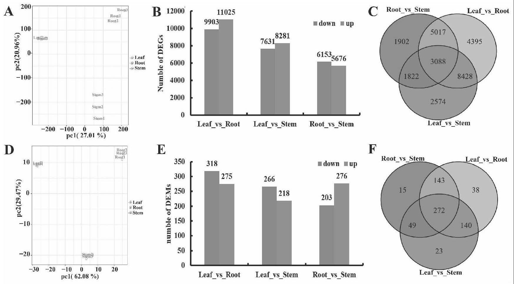 一种基于多组学分析揭示乙酰化修饰在银杏类黄酮生物合成中的重要性的方法