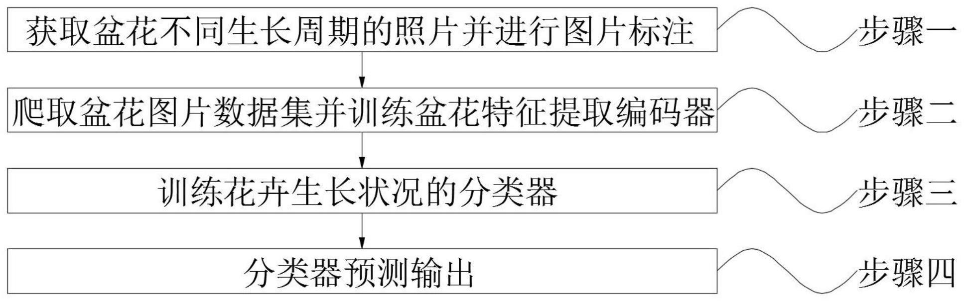 一种基于对比学习的花卉生长状况检测方法与流程