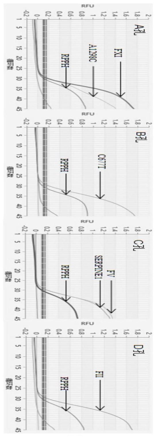 一种用于检测遗传易栓症相关基因的制作方法