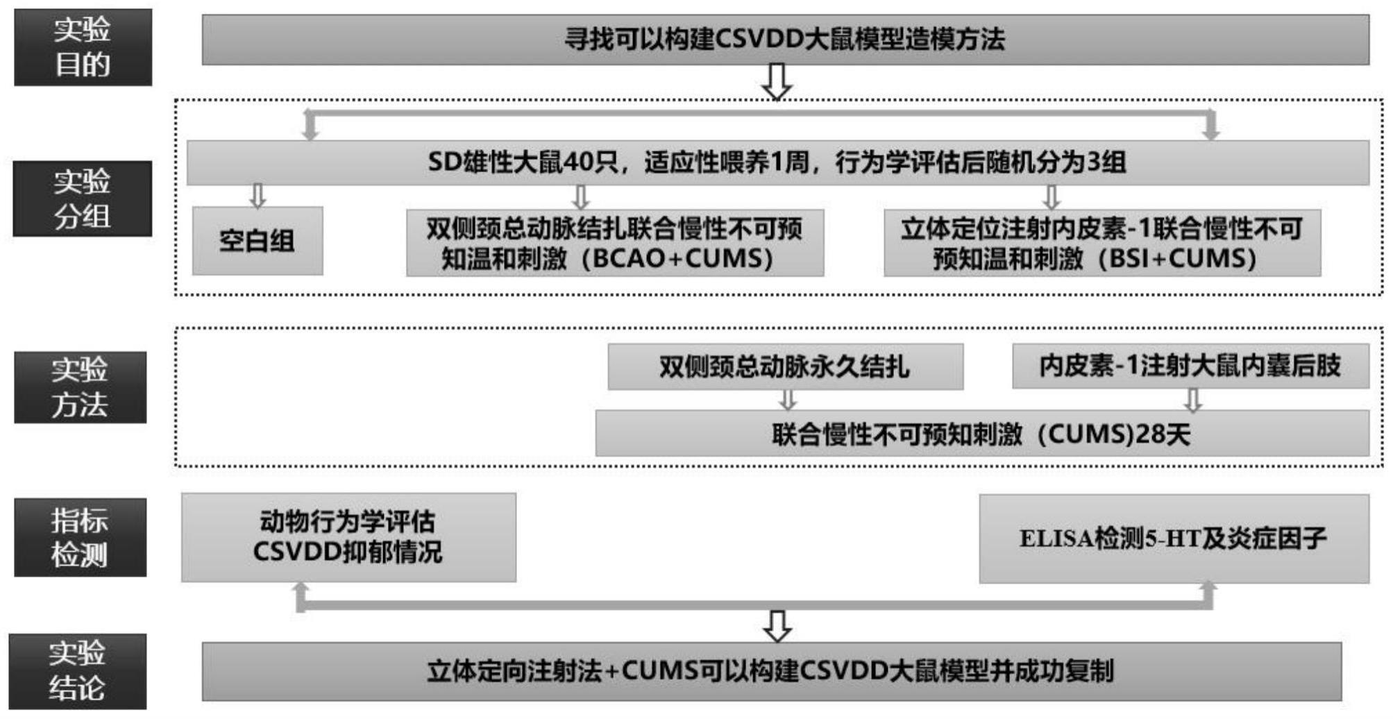 一种脑小血管病伴发抑郁的动物模型构建方法