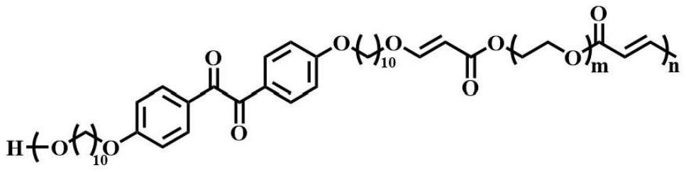 含苯偶酰磷光基团的两亲性交替主链聚合物及其制备方法