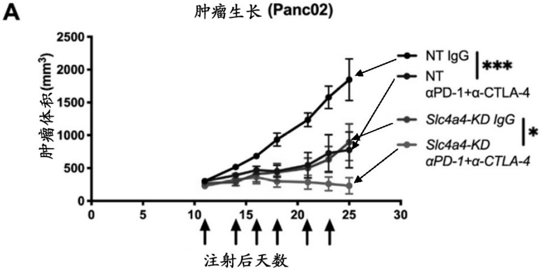 在癌症治疗中