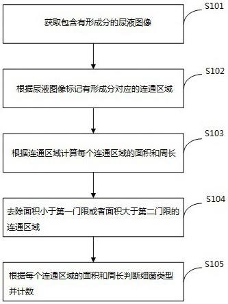 一种细菌计数方法及其装置与流程