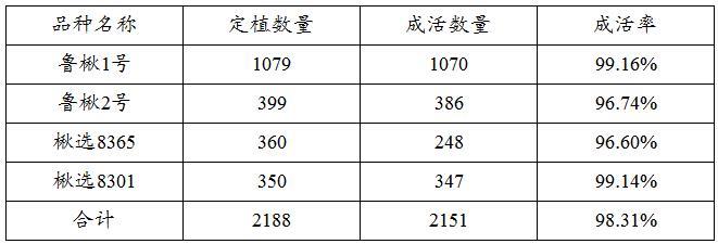 一种提高感染根结线虫病楸树成活率的方法与流程