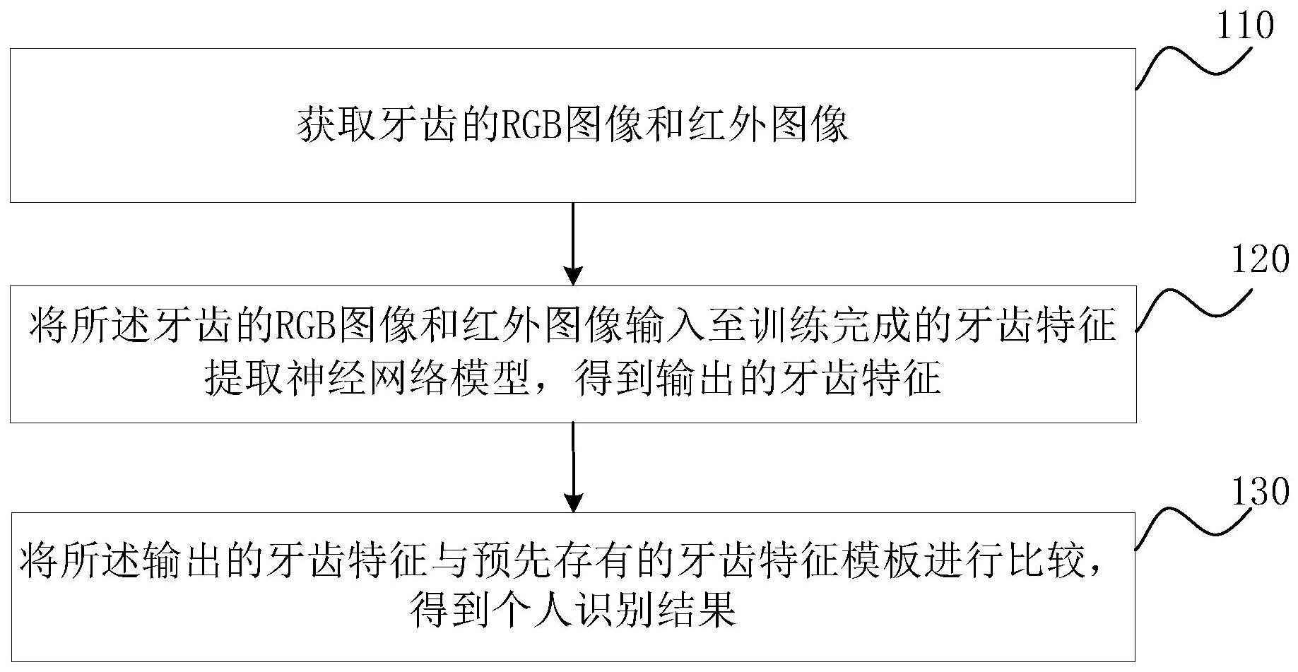 基于牙齿图像的个人识别方法与流程