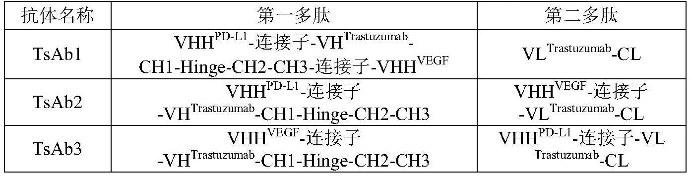 靶向的制作方法