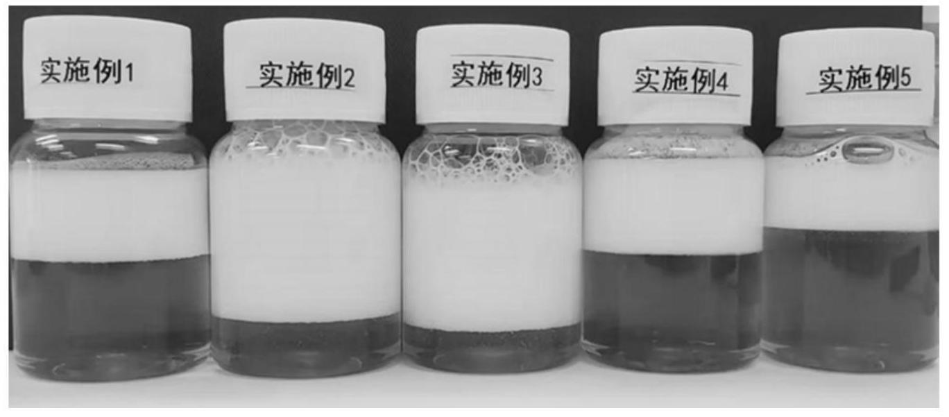 一种双层清洁组合物及其制备方法与流程