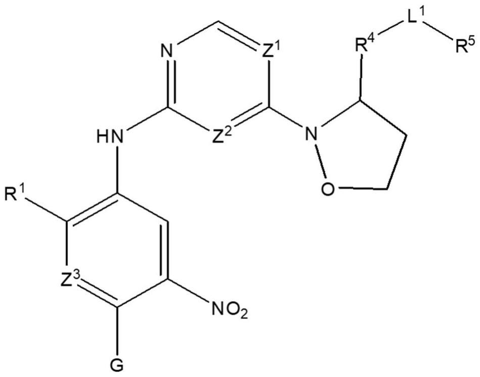 杂芳基衍生物的制作方法