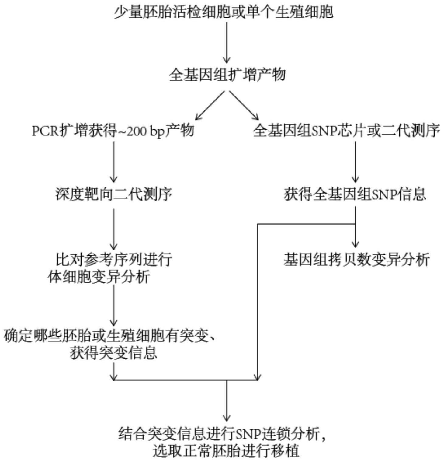 一种基于单细胞全基因组扩增的的制作方法