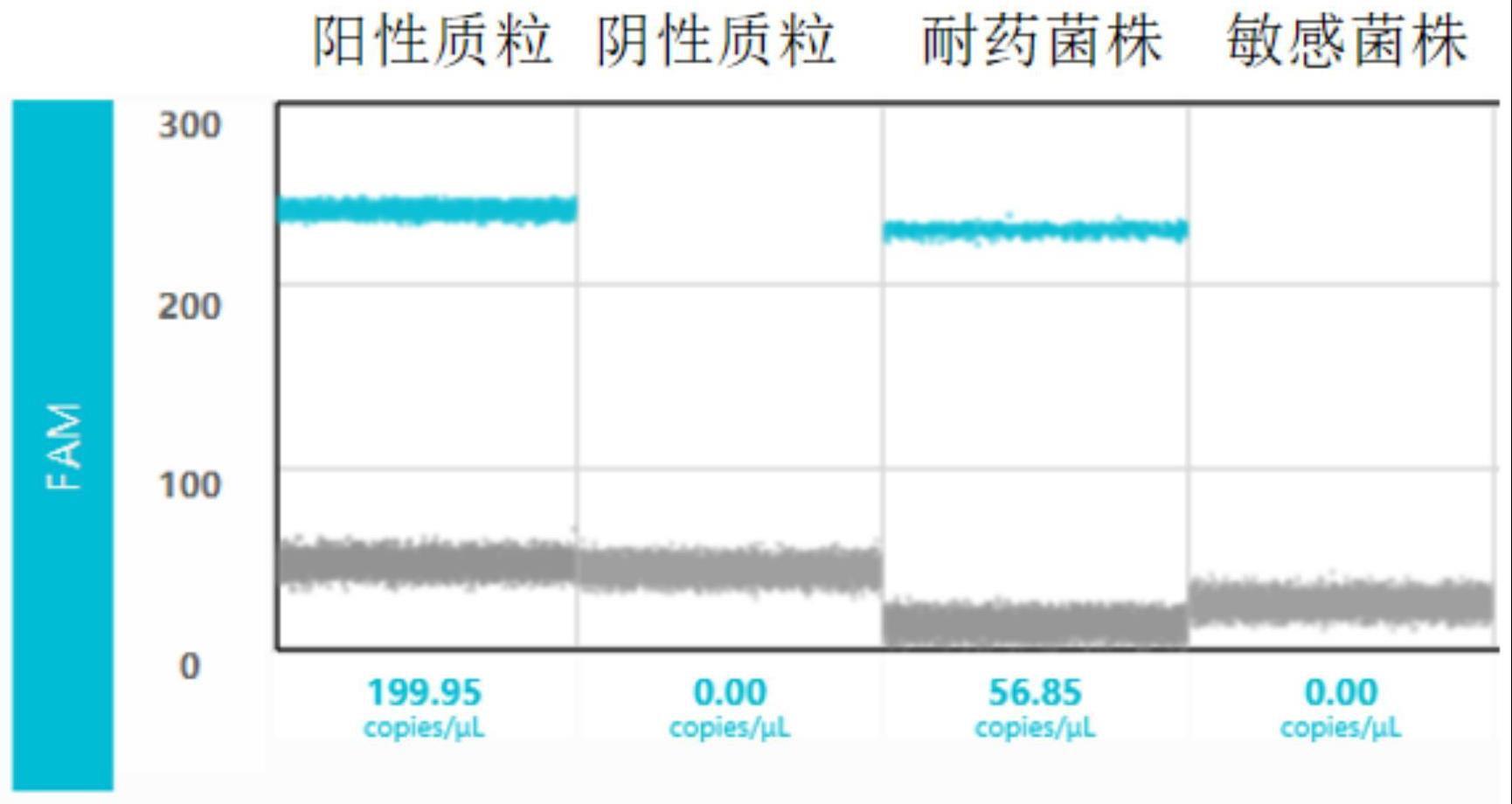 一种数字