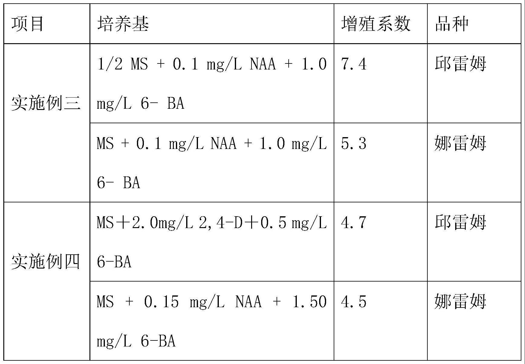 一种施加生长调节剂对蓝果忍冬增殖培养的方法