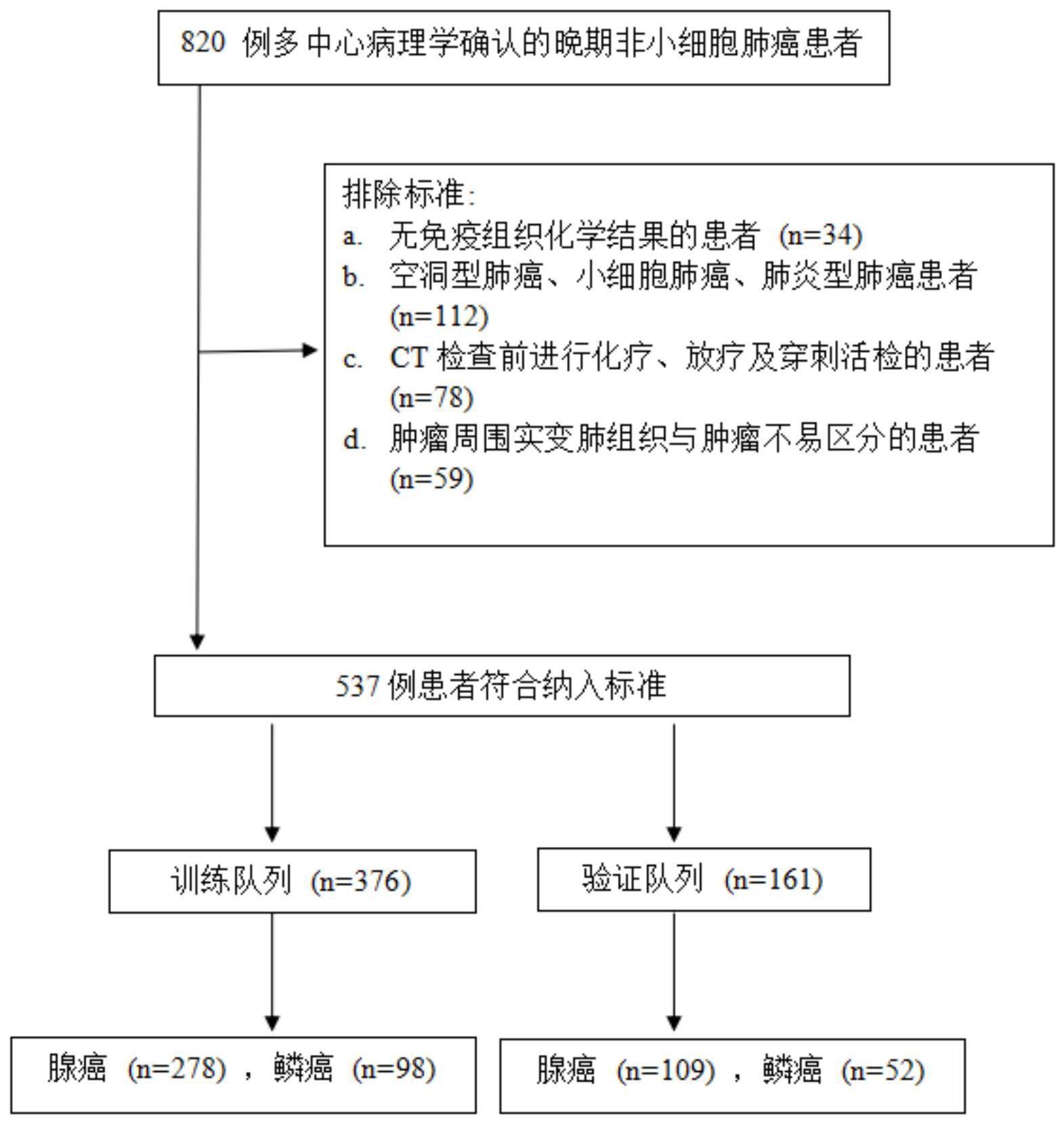 一种基于双期增强计算机断层扫描图像的的制作方法