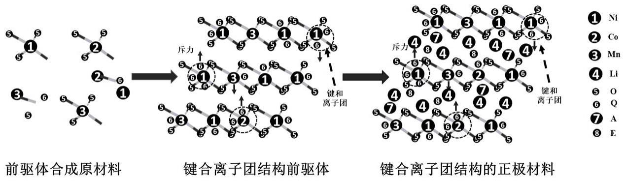 高镍正极材料及其制备方法和应用与流程