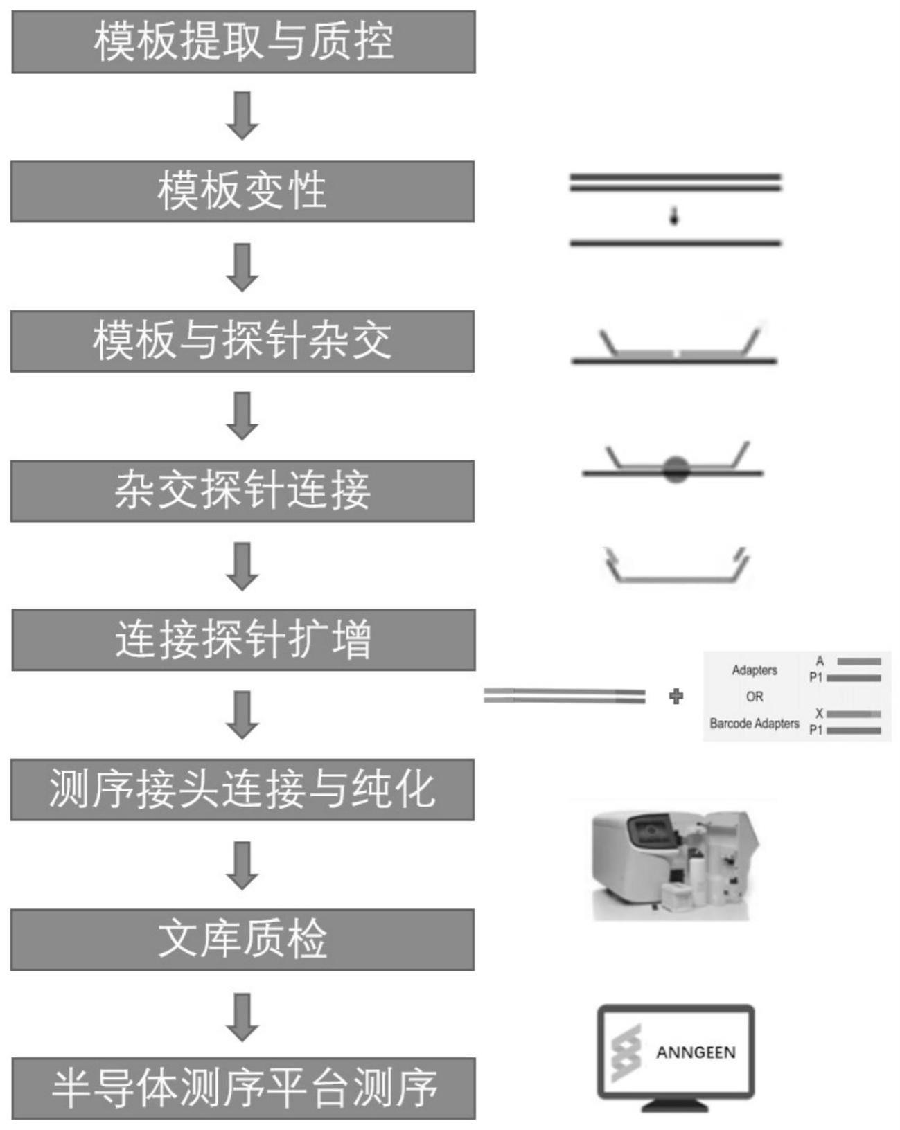 基于半导体测序平台检测