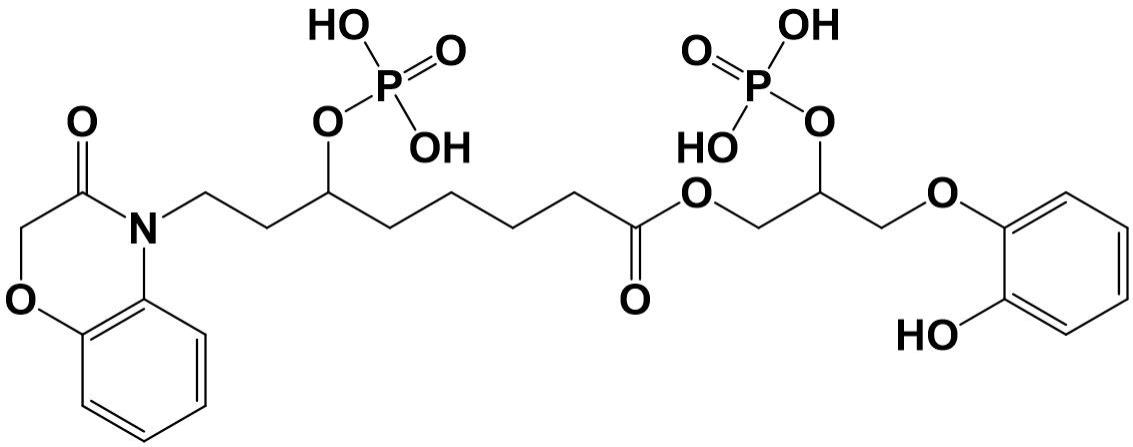 一种防火隔热复合面料及其在消防服中的应用的制作方法