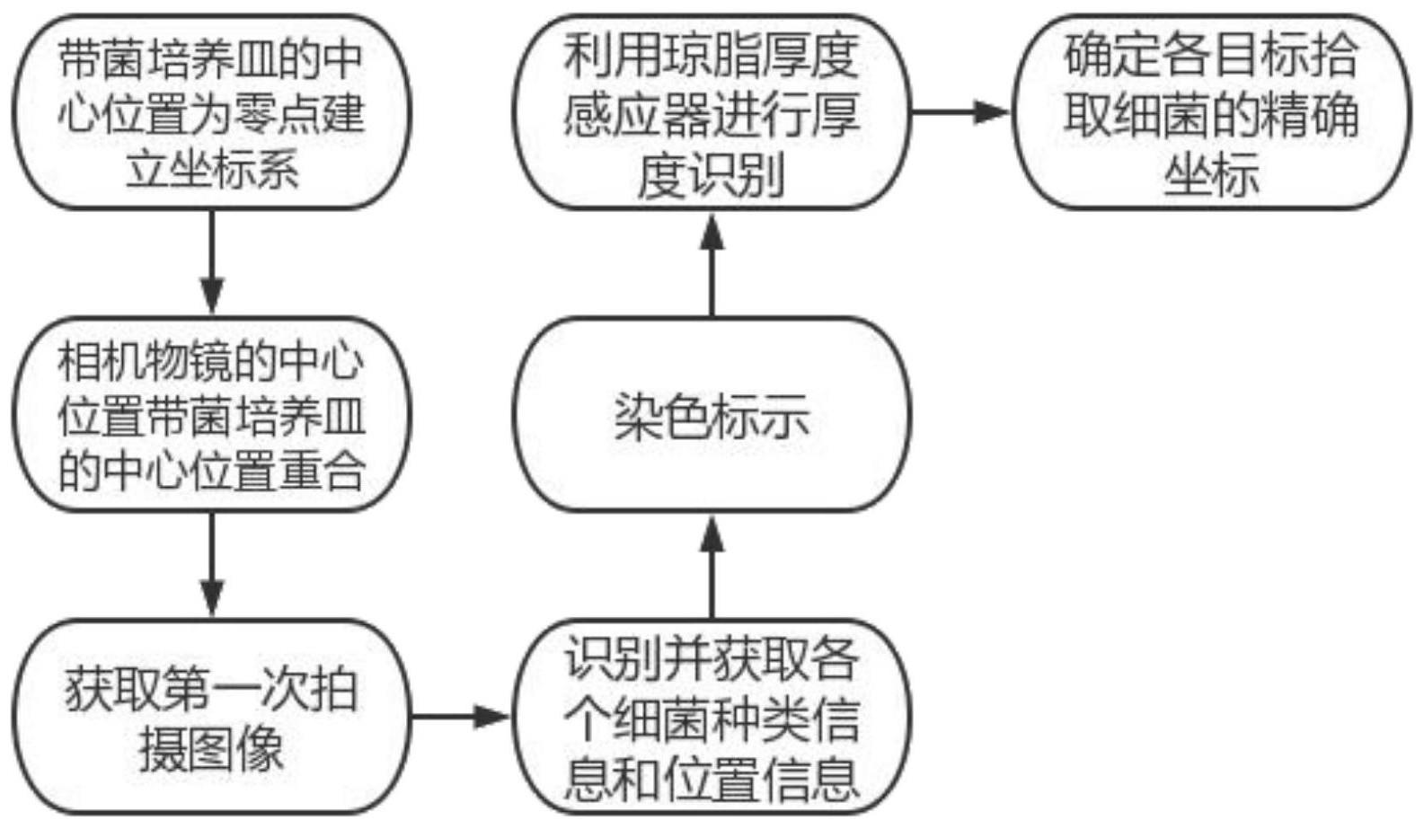 一种全自动细菌识别定位方法与流程