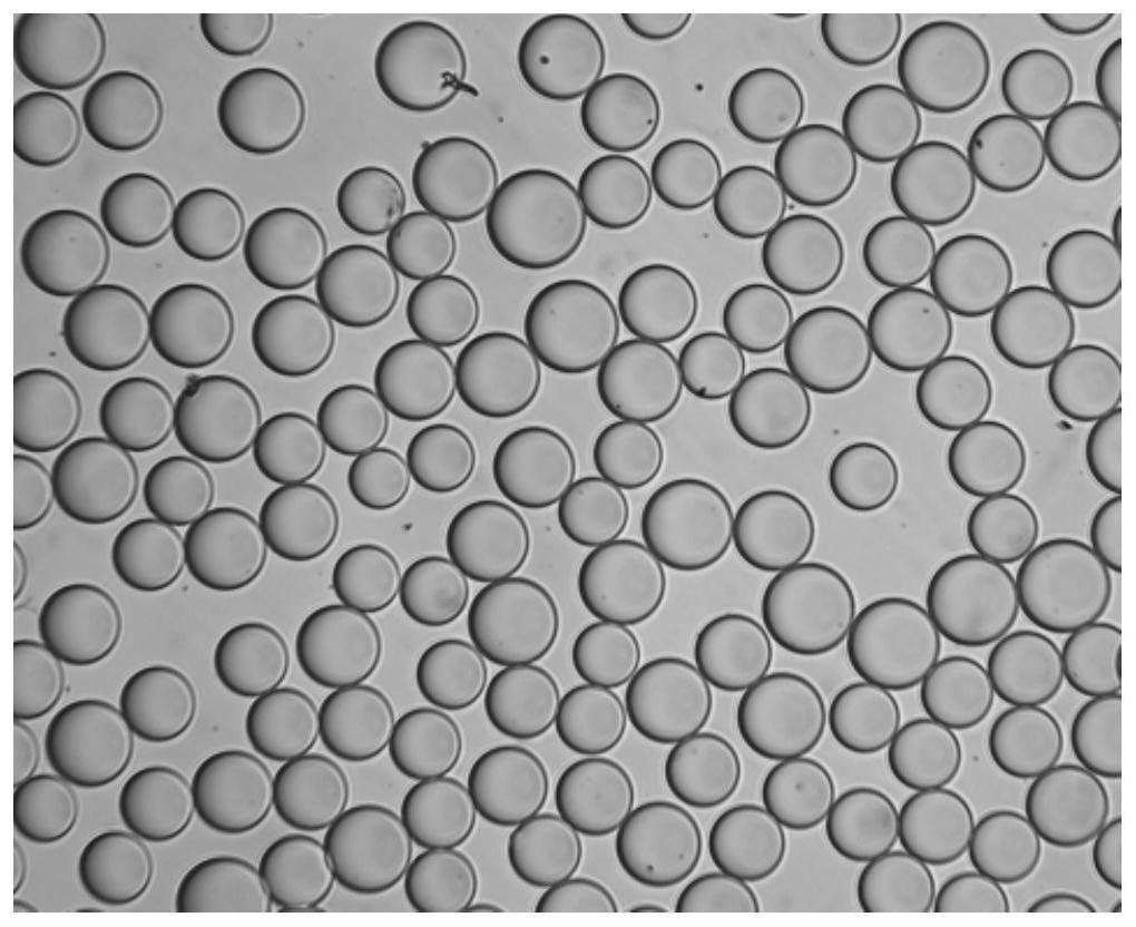 一种聚合物微球及其制备方法与流程