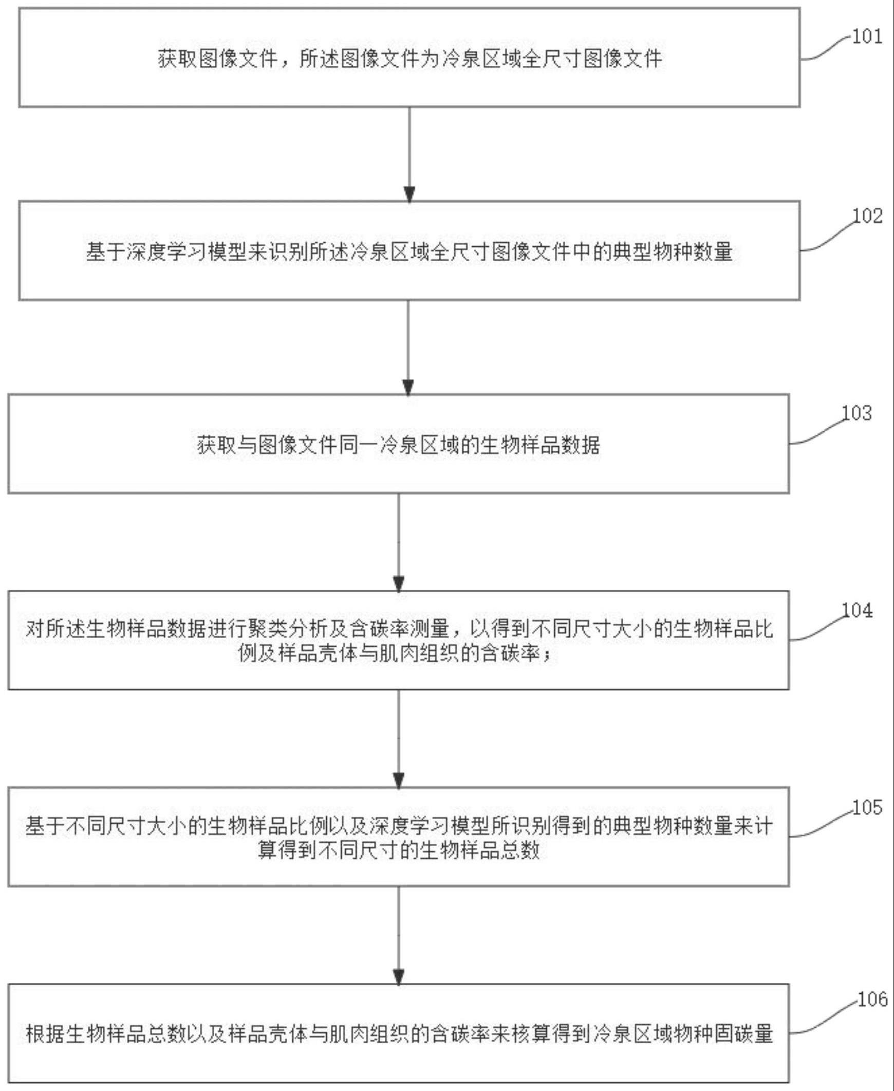 深海冷泉区生态系统的固碳量核算方法与流程