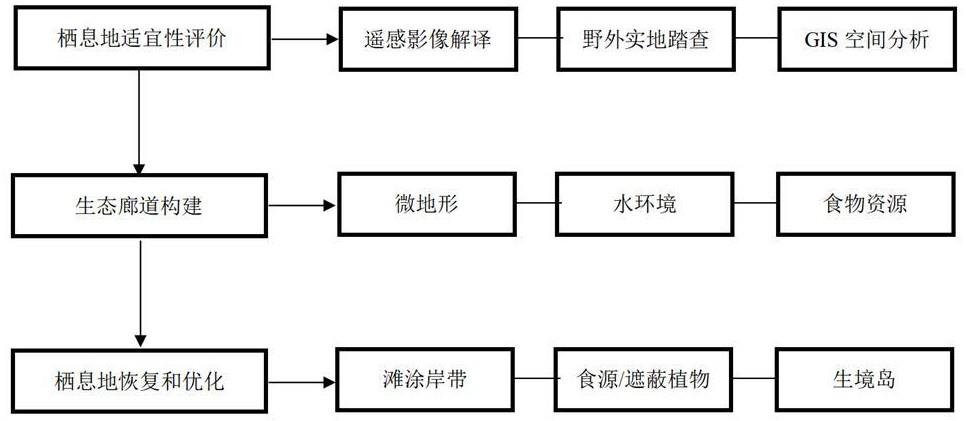 一种滨海滩涂湿地涉禽栖息地的生态修复方法与流程