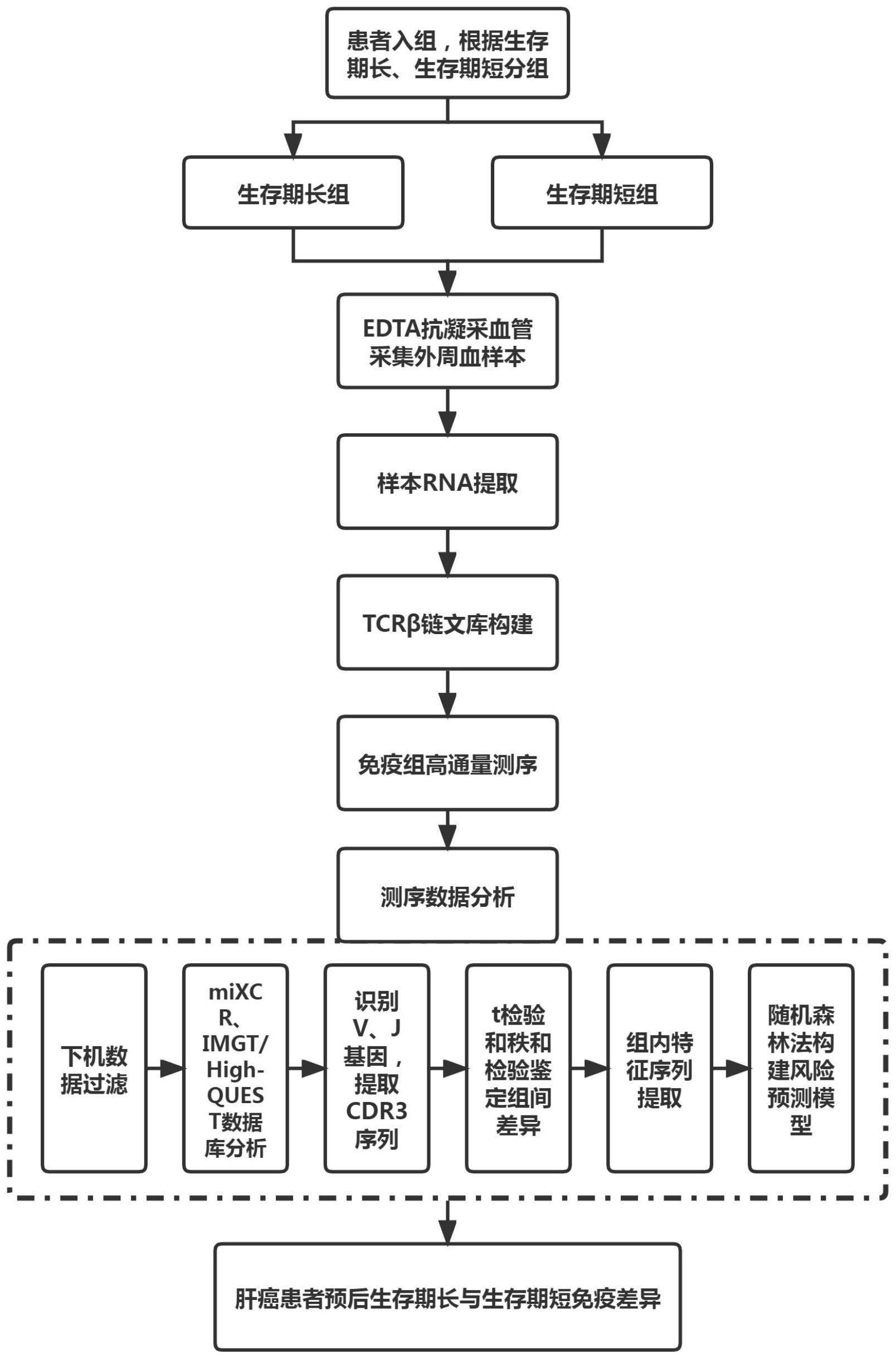 用于肝癌预后评估的