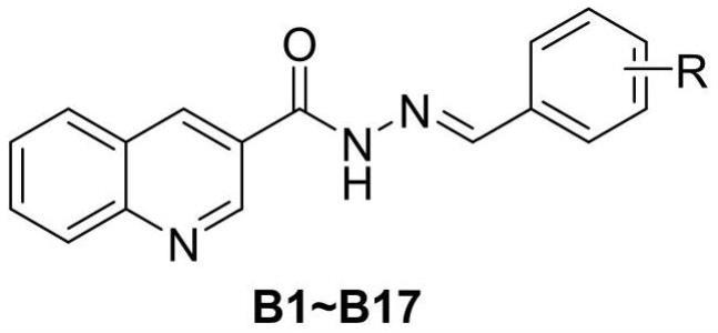 一种3位取代的喹啉衍生物在防治农业真菌病害上的用途