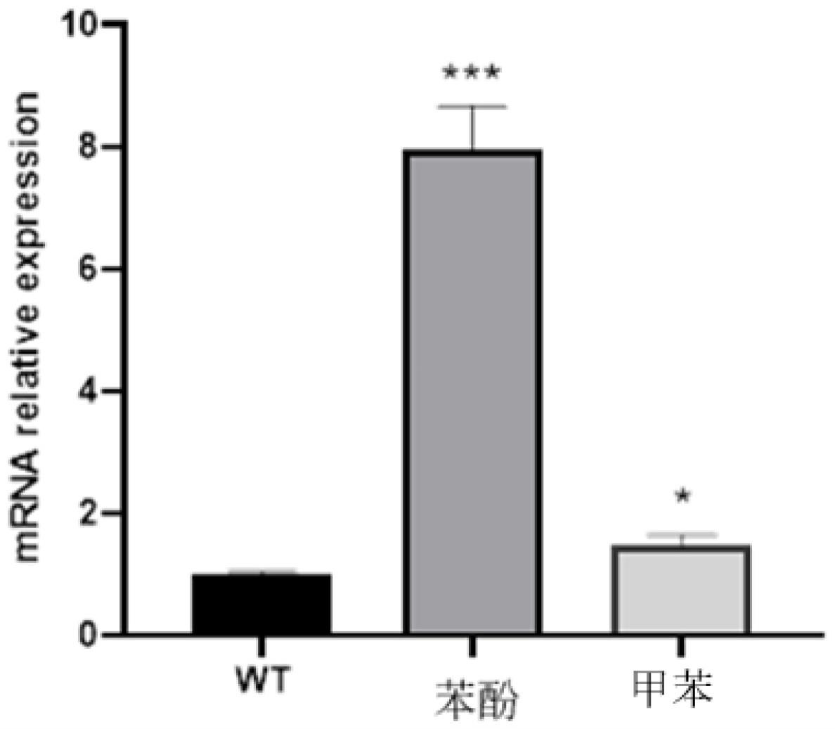 一株赤红球菌环二鸟苷酸效应蛋白增强株及其应用