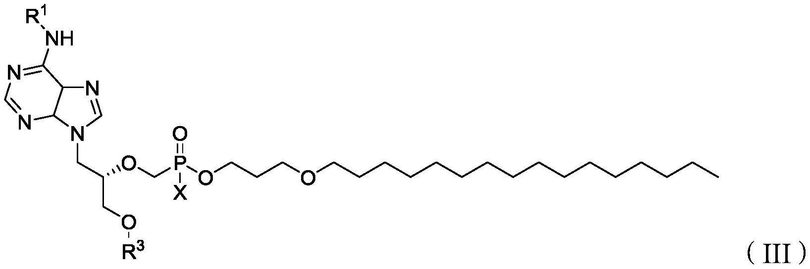 核苷类似物及其医药用途的制作方法