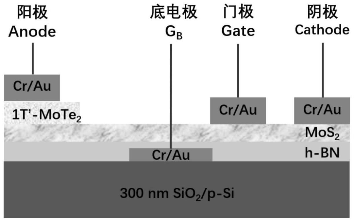 一种新型二维半导体材料晶闸管的构筑方法