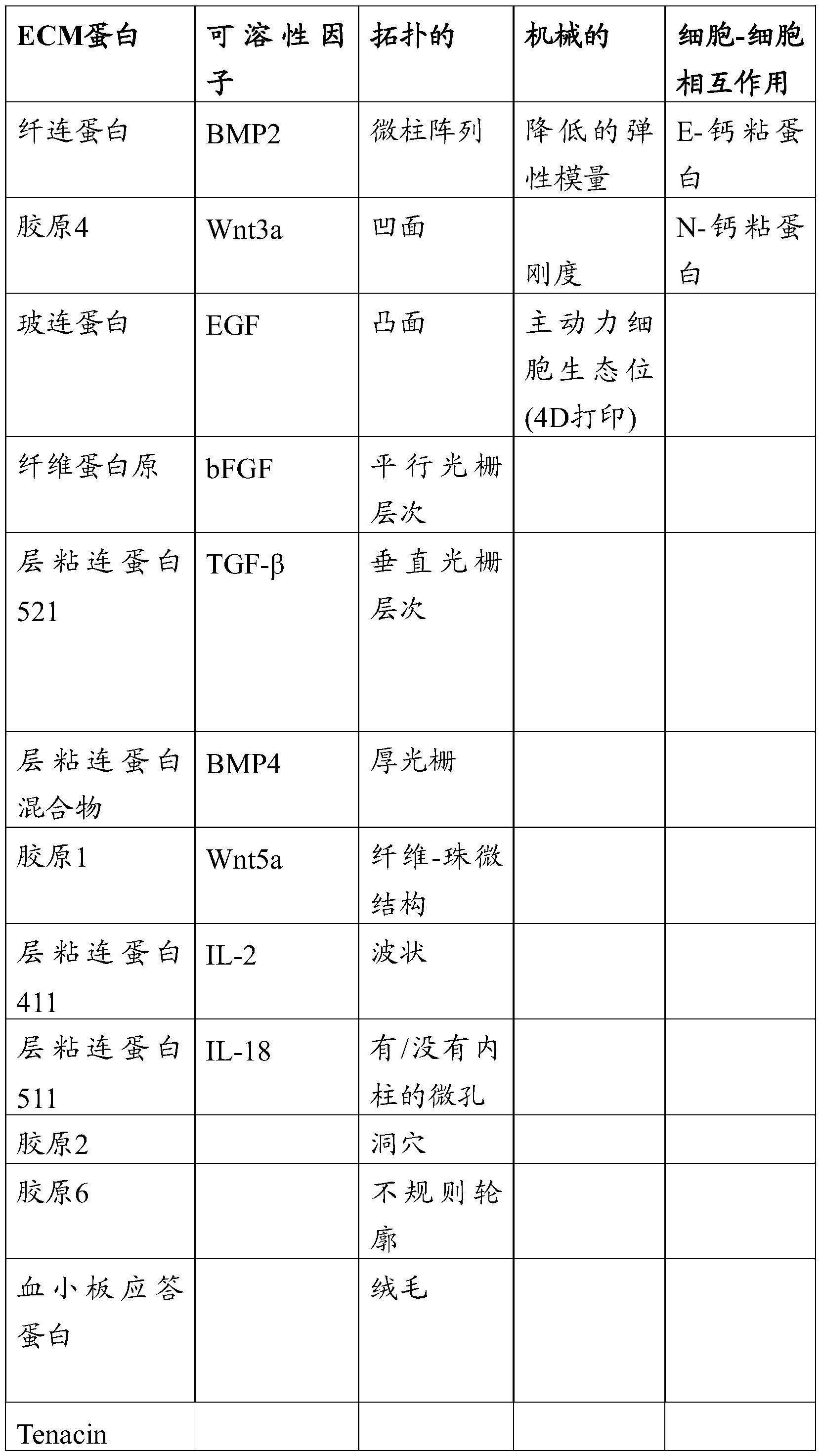 细胞生态位工程化平台